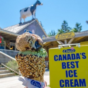 Cows Ice Cream PEI